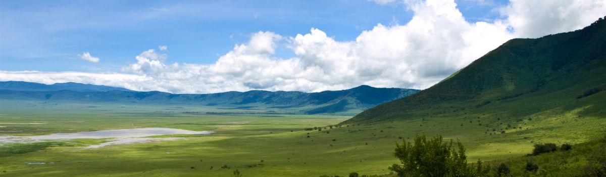 Tanzanias flotte natur